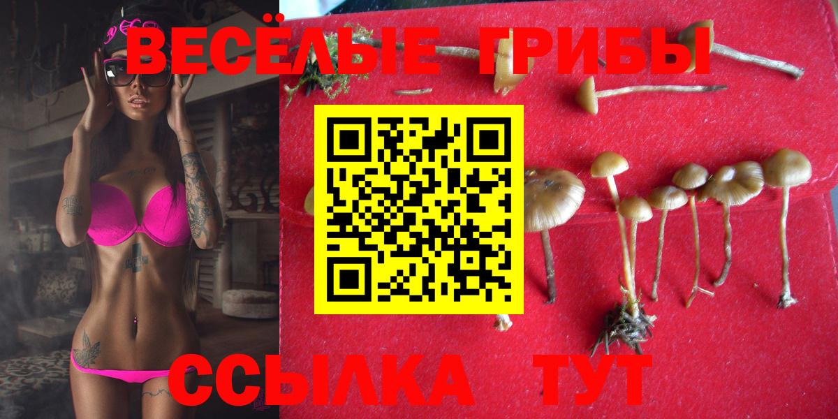 Грязи  Галлюциногенные грибы мицелий  Вход с VPN 