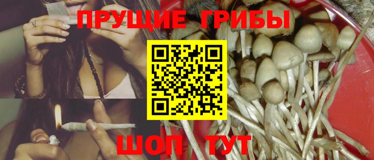 Галлюциногенные грибы GOLDEN TEACHER Грязи